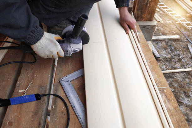 Best Vinyl Siding Installation  in Montegut, LA