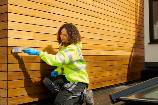 Best Siding Removal and Disposal  in Montegut, LA